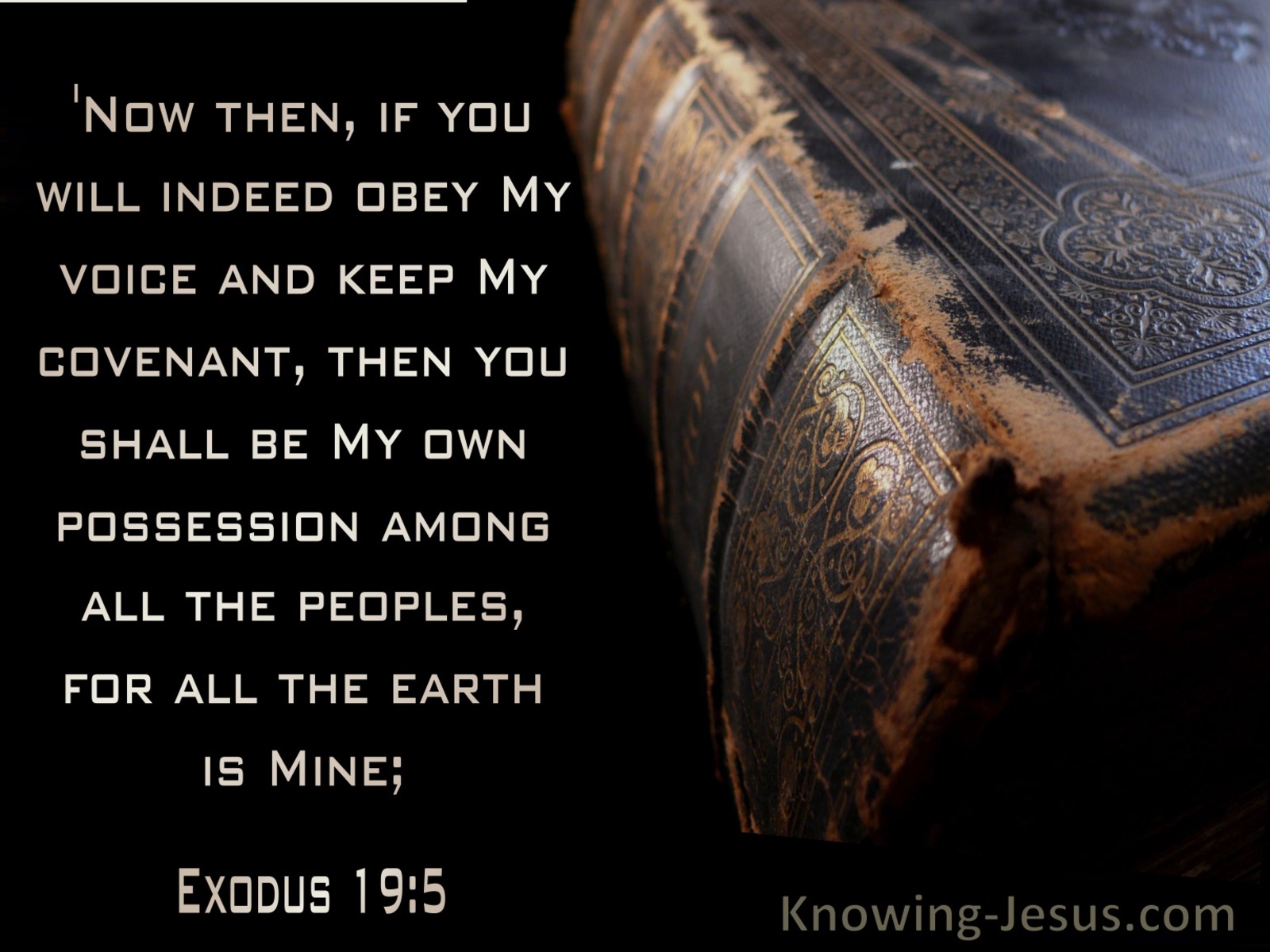 Exodus 19:5 If You Will Obey My Voice Then You Will Be My Possession (black)